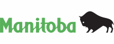 Secure Email Transfer Service (logo)